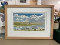 Lapwings BGM framed