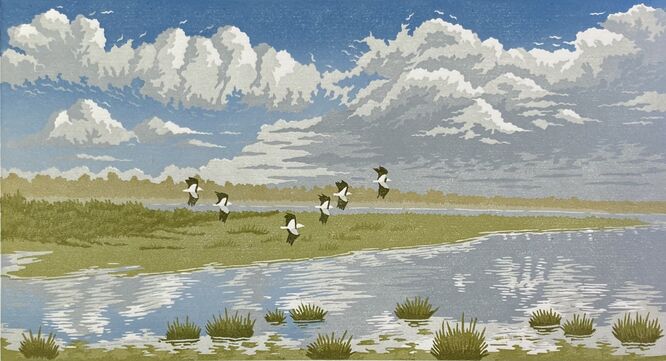 Lapwings, Bowling Green
