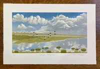 Lapwings, Bowling Green