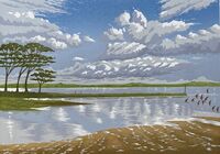 River Clouds