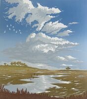 Saltmarsh