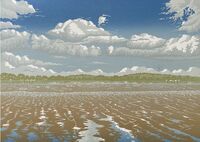 Summer Estuary