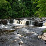 Aysgarth Falls 20240707 124814 copy