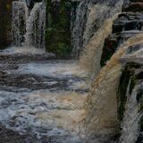 Aysgarth Falls 20240707 125053 01 copy