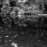 Aysgarth Falls 20240707 125505 copy