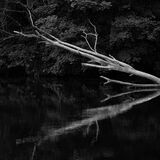 Aysgarth Falls 20240707 125629 copy