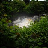 Aysgarth Falls 20240707 131618 copy