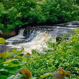 Aysgarth Falls 20240707 131643 copy
