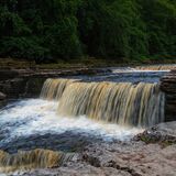 Aysgarth Falls 20240707 133830 copy
