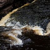 Aysgarth Falls 20240707 134753 01 copy