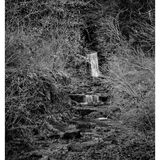 Fountains Abbey 20220102 150406
