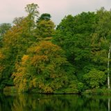 Harewood 20161023 133012