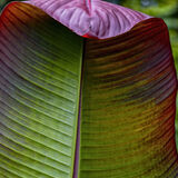 Harlow Carr 20220828 142244