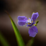 Harlow Carr 20220828 143442