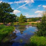 Harlow Carr 20240729 144525 copy