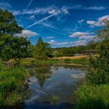 Harlow Carr 20240729 144554 copy