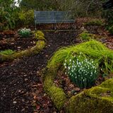 Harlow Carr 20250202 145959