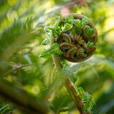 Harlow Carr 20260504 122759-1