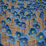 Himalayan Garden 20220515 141615