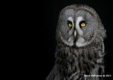The Eyes Have It