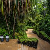 Langkawi 20250327 030349 copy