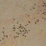 Langkawi 20250327 073312 copy