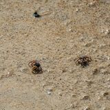 Langkawi 20250327 073940 01 copy