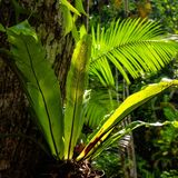 Langkawi 20250327 082955 copy