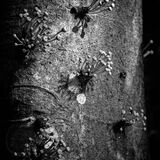 Langkawi 20250328 085919 01 copy