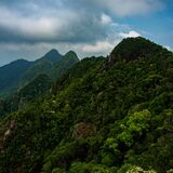 Langkawi 20250329 065111 copy