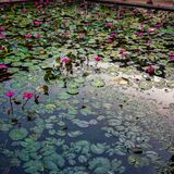 Langkawi 20250329 234809 copy