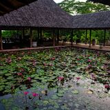 Langkawi 20250329 235027 copy