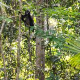 Langkawi 20250330 093058 copy