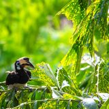 Langkawi 20250330 101953 copy