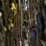 Langkawi 20250331 073823 copy