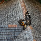 Langkawi 20250331 103402 copy