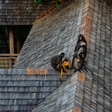 Langkawi 20250331 103500 copy