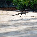 Langkawi 20250401 021153 01 copy