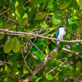 Langkawi 20250402 015050 copy