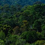 Langkawi 20250402 021334 copy