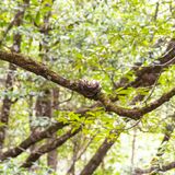 Langkawi 20250402 085309 01 copy