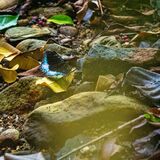 Langkawi 20250403 040632 copy