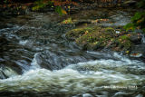 Flowing_Water_#02