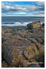 Northumberland_Coast_at_Craster_04