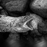 Northumberland 20240929 135604 copy