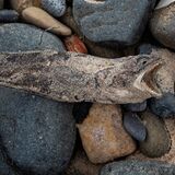 Northumberland 20240929 135609 copy