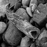 Northumberland 20240929 135623 copy