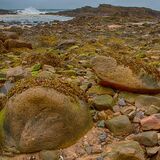 Northumberland 20240930 120044 copy