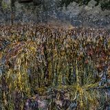 Northumberland 20240930 120822 copy