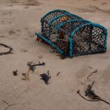 Northumberland 20240930 131157 01 copy